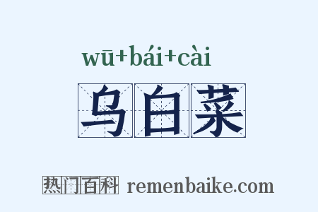 乌白菜是什么意思的图片